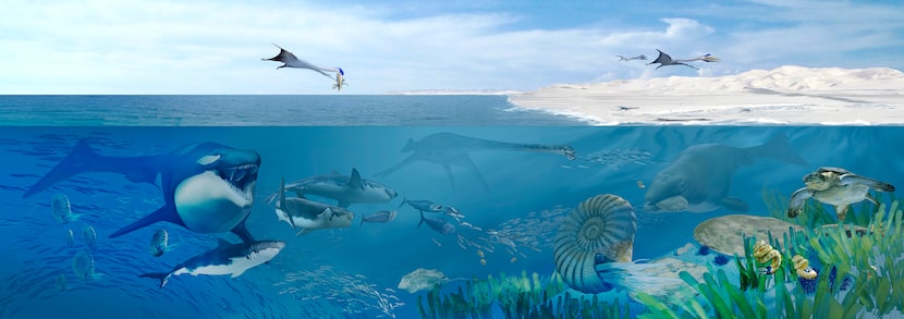 An artist's rendering of Angola's Cretaceous seas 72 million years ago, dominated by...