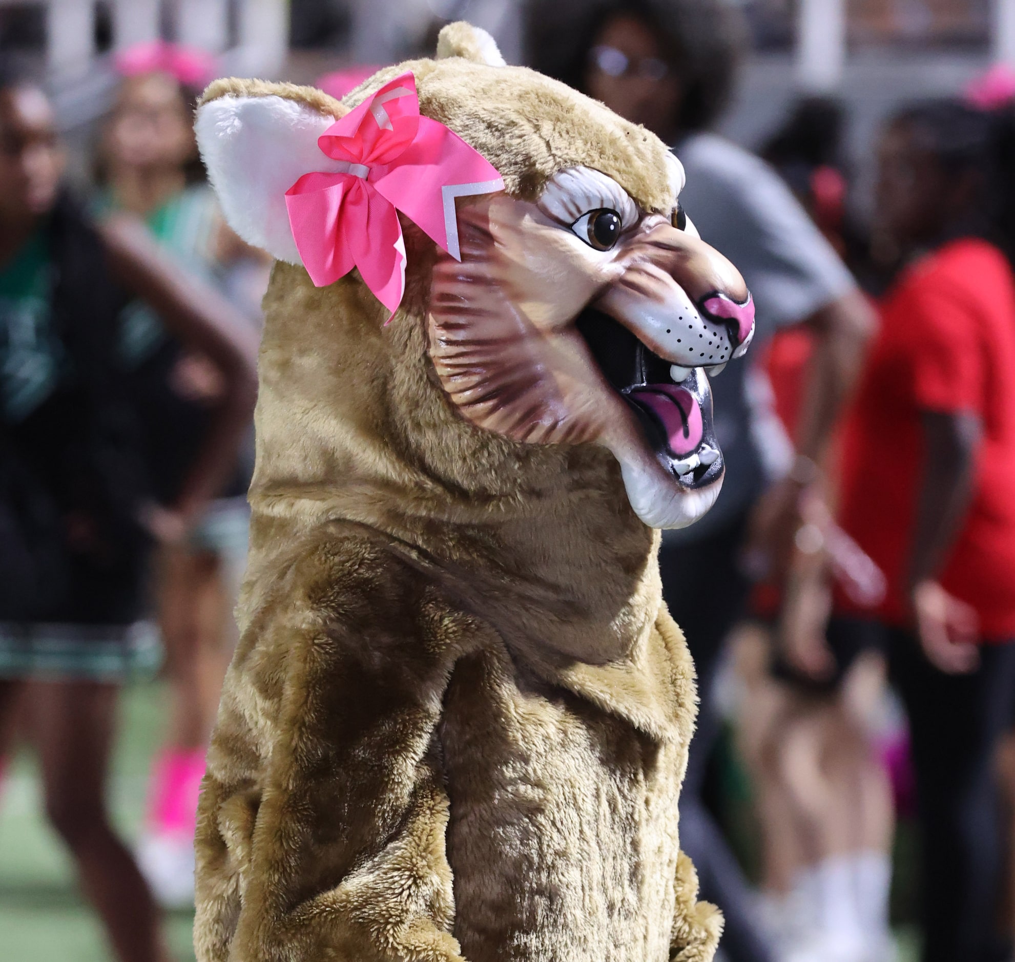 The Bryan Adams High mascot is shown on the sidelines during the first half of a high school...