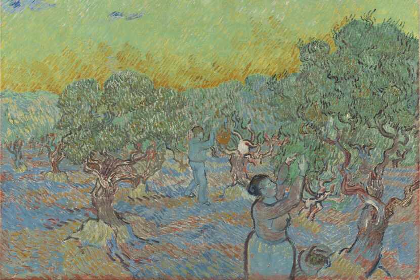 Vincent van Gogh's 1889 oil-on-canvas work "Olive Grove with Two Pickers" will come to...