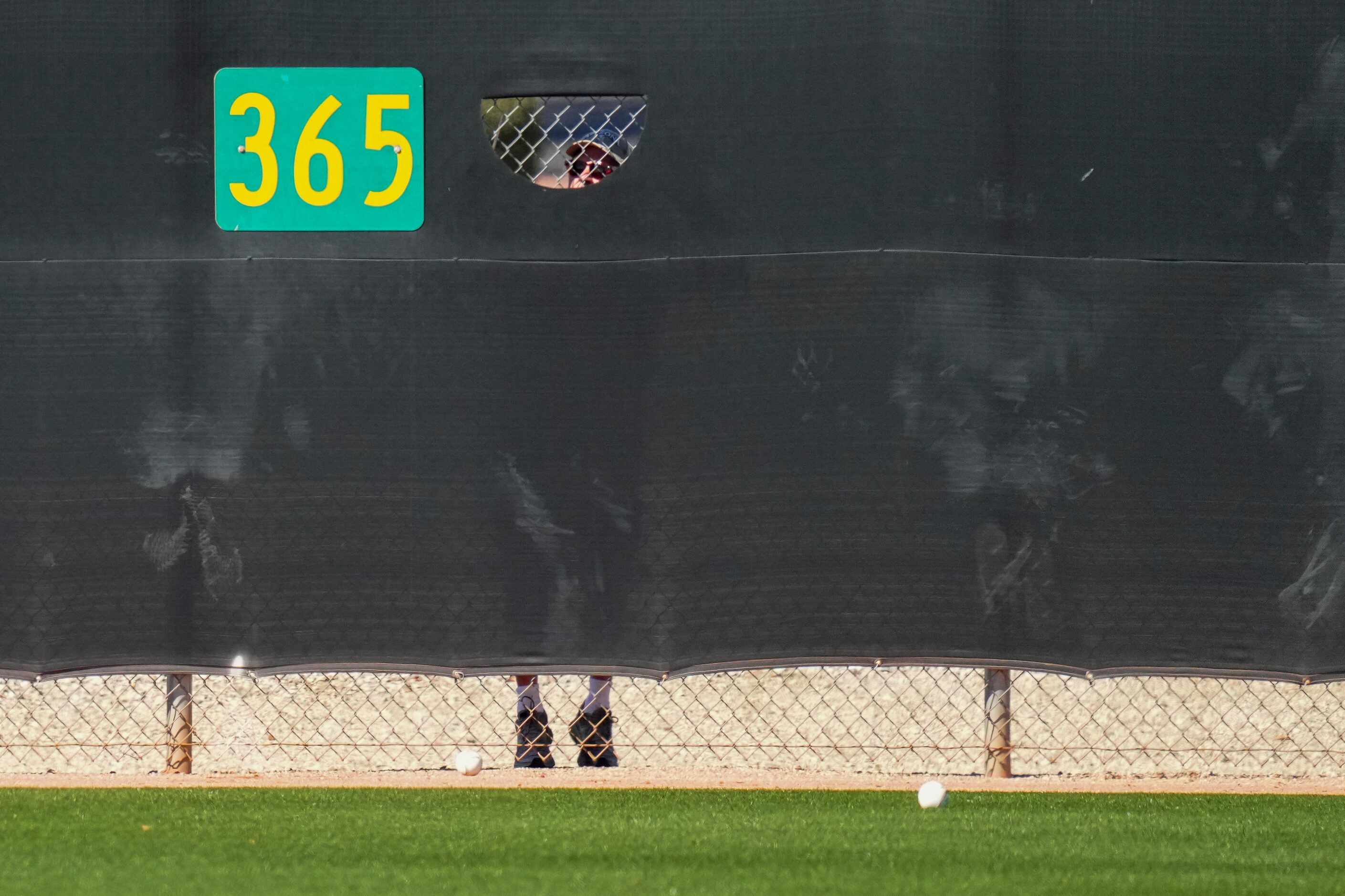 A man who was collecting balls hit over the wall in batting practice peeks through a hole in...