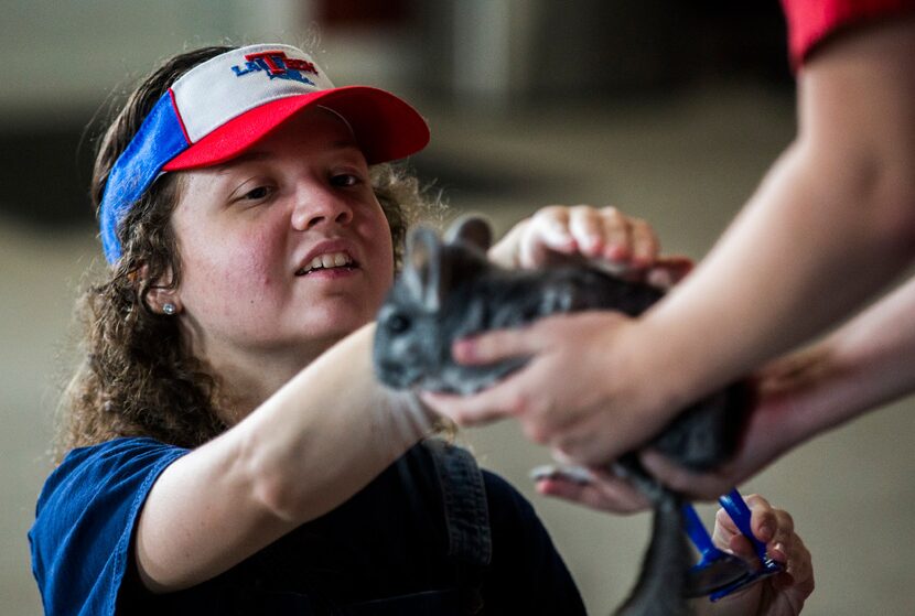 Maddie Blanton, 22, pets a chinchilla at the Gentle Zoo.