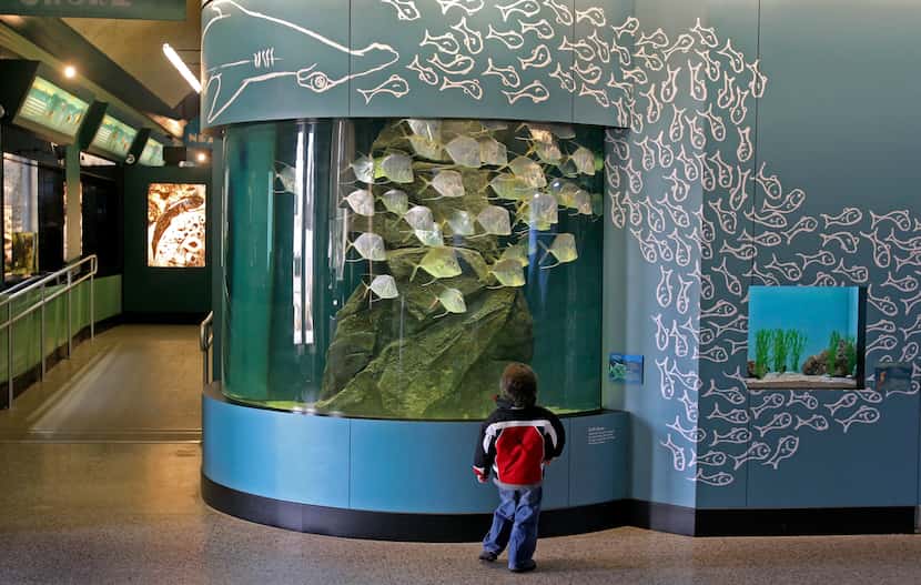 La ciudad anunció el cierre definitivo del Children's Aquarium en Fair Park