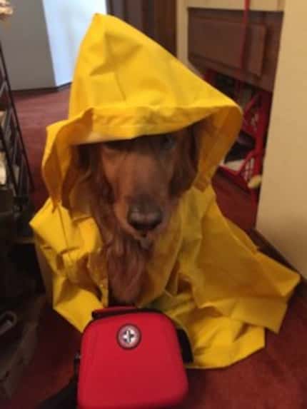  Junior is prepared with his emergency kit and slicker. (Photo provided by Jill Schilp)