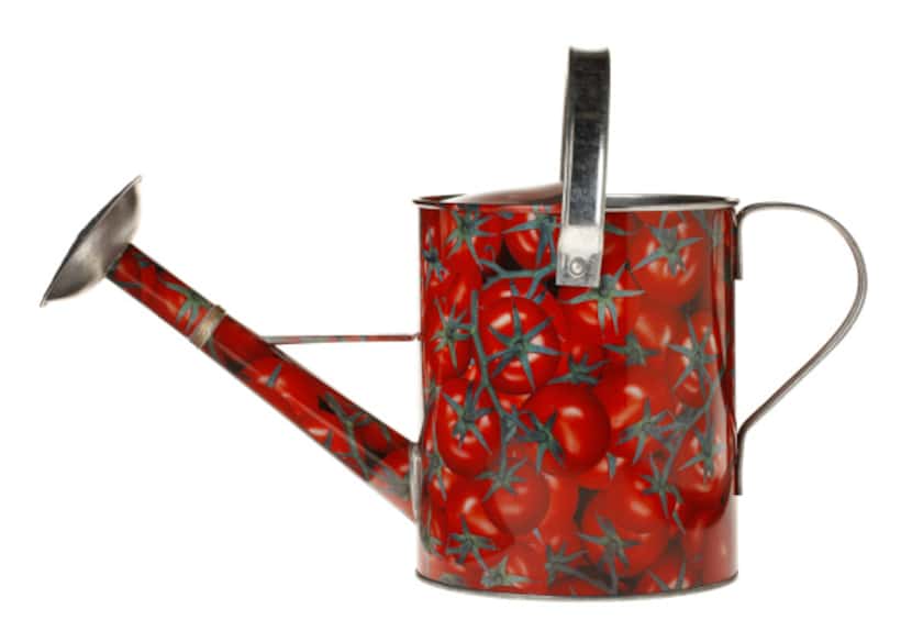 Tomato watering can from Nicholson Hardie garden shop