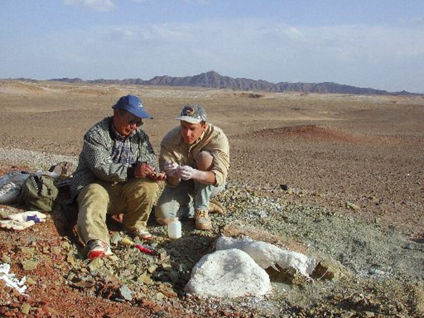 In this photo released by Project Exploration, Chinese dinosaur hunter Zhao Xijin (left) and...