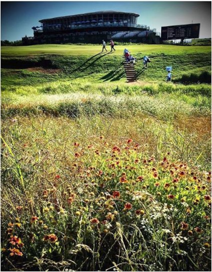 There's no shade even though the course name claims the word "forest."