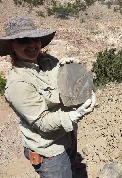 Dori Contreras holds an impression of a fossil conifer while working in New Mexico.