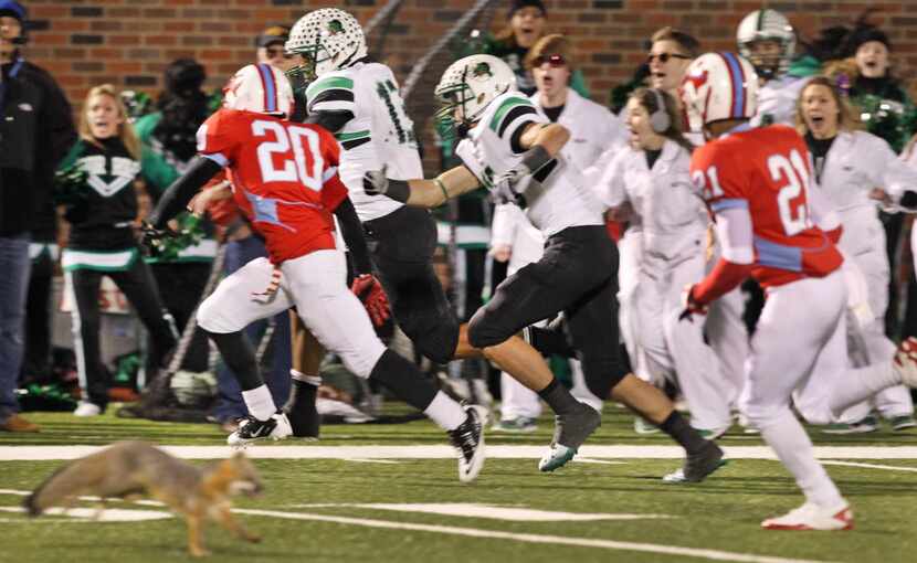 As Carroll QB Kenny Hill rambles down the sidelines to score the winning touchdown, a fox...