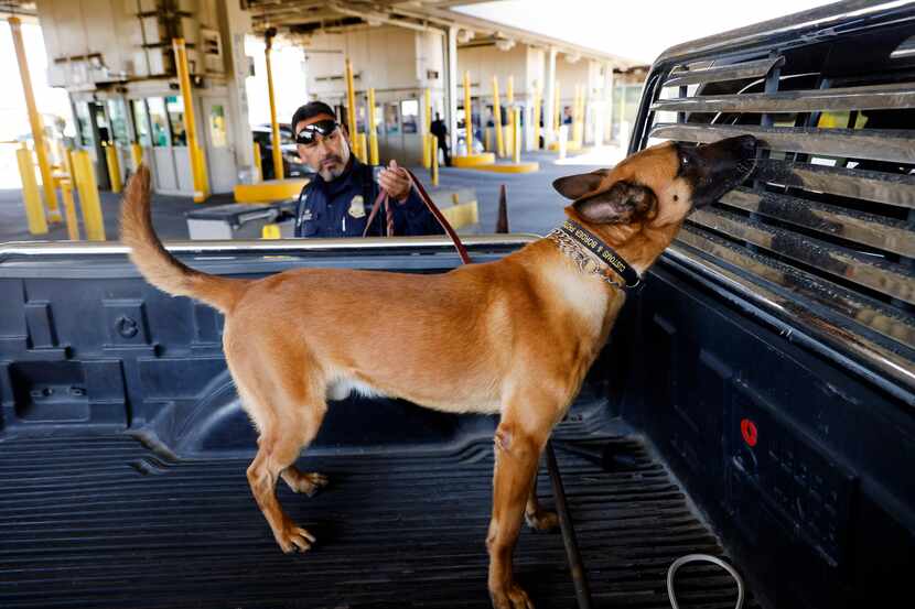 U.S. Customs and Border Protection K-9 officer Jaime Chavez leads his dog, Kent, through a...