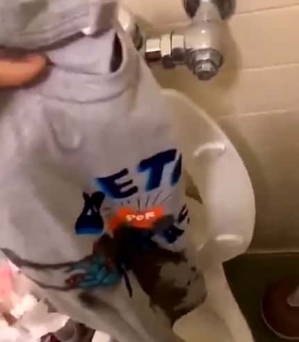 The student is apparently shown filming himself urinating on a Beto O'Rourke campaign...