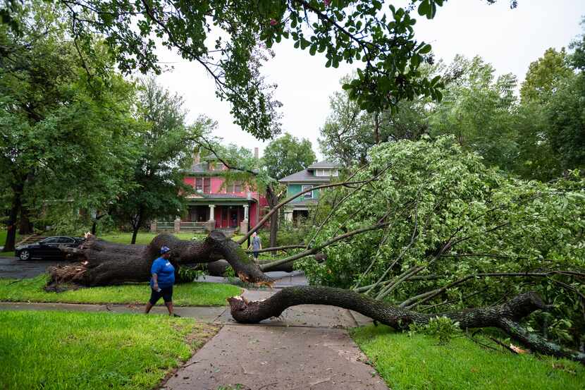 LaTasha Kelly, 39, left, walks along a down tree that fell on her vehicle as she was sitting...