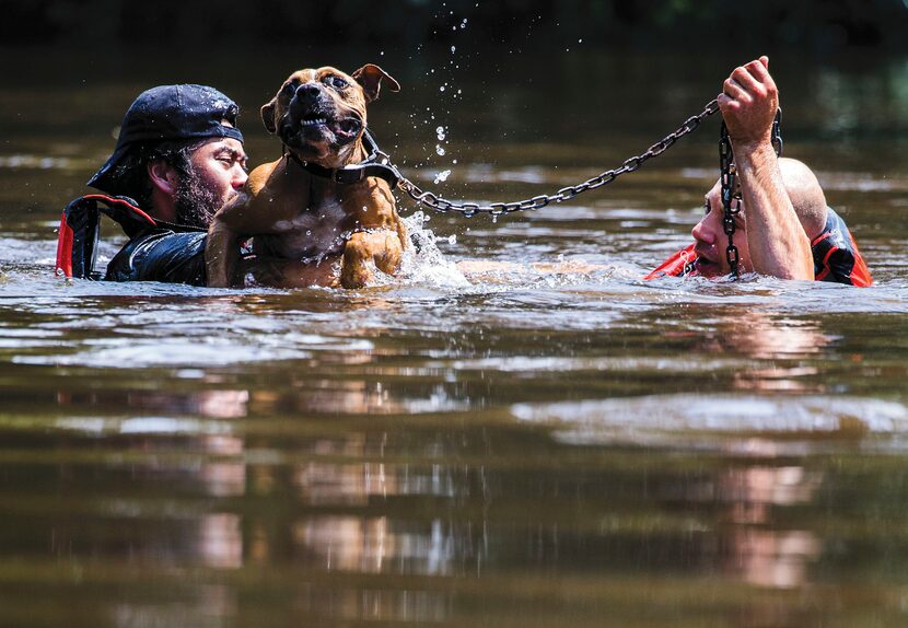 Marine Corps League member Jeff Webb (left) of Montgomery and rescue diver Stephen Bradshaw...