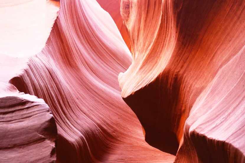 Light and shadow interplay on the sandstone walls of Lower Antelope Canyon.

