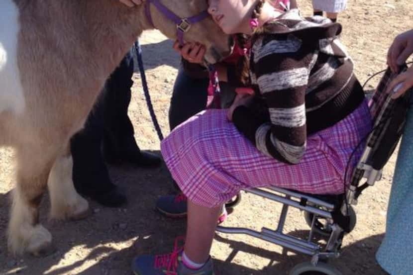 
Miranda Nightingale of Oklahoma bonds with Sugar, a miniature therapy horse from Equest at...