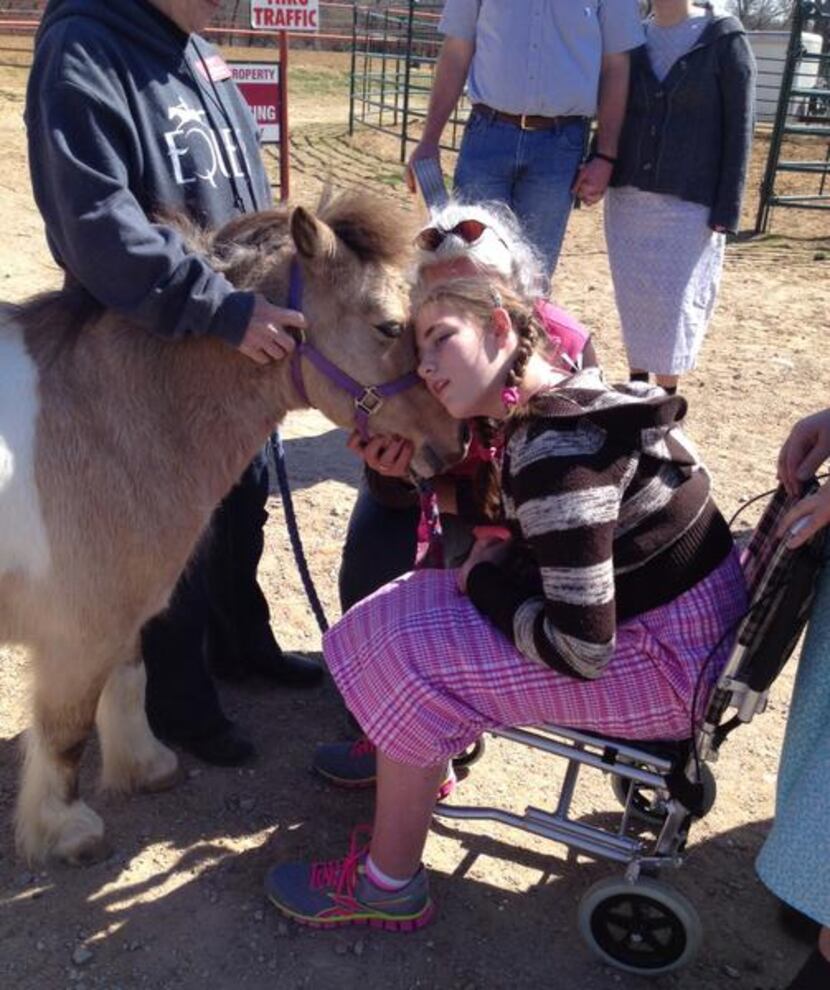
Miranda Nightingale of Oklahoma bonds with Sugar, a miniature therapy horse from Equest at...
