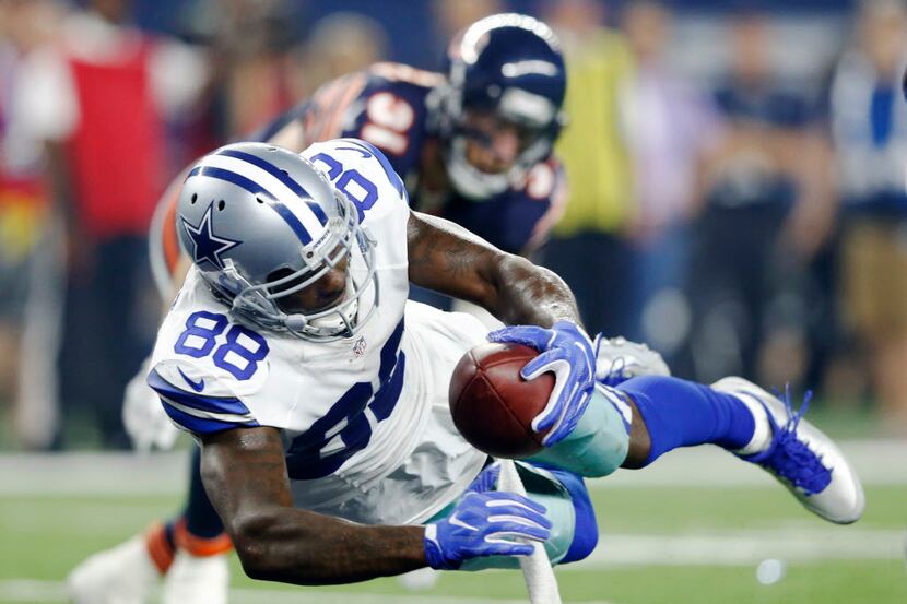 Dallas Cowboys wide receiver Dez Bryant (88) dives for the touchdown in a game against the...