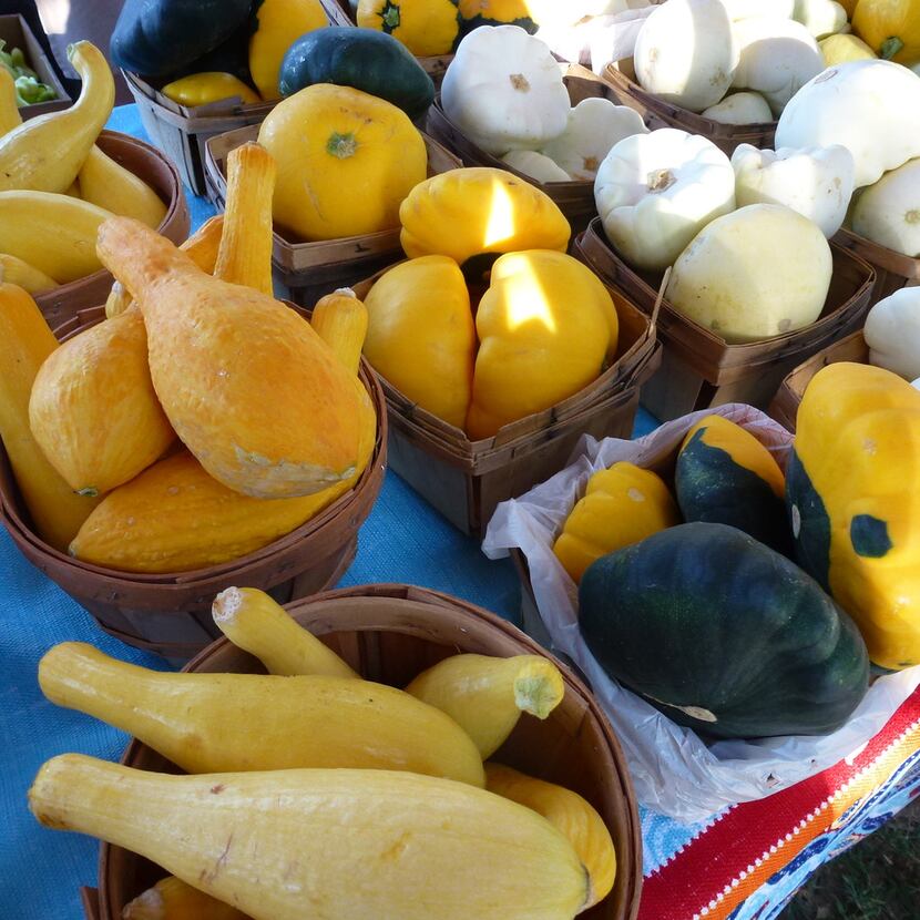 La Esperanza Farm from Nevada, Texas, grows a wide variety of squash and sells at the...