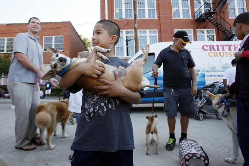 Francisco Hernandez and his Chihuahua, Solovino, waited in line for vaccinations during last...
