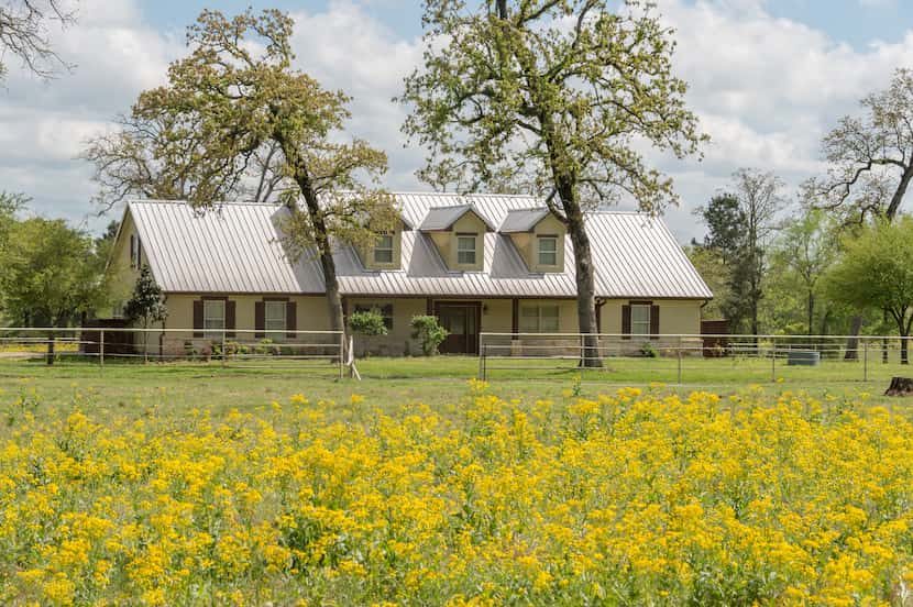 The Champion Ranch includes a main house, bunk house and other barns and cabins.