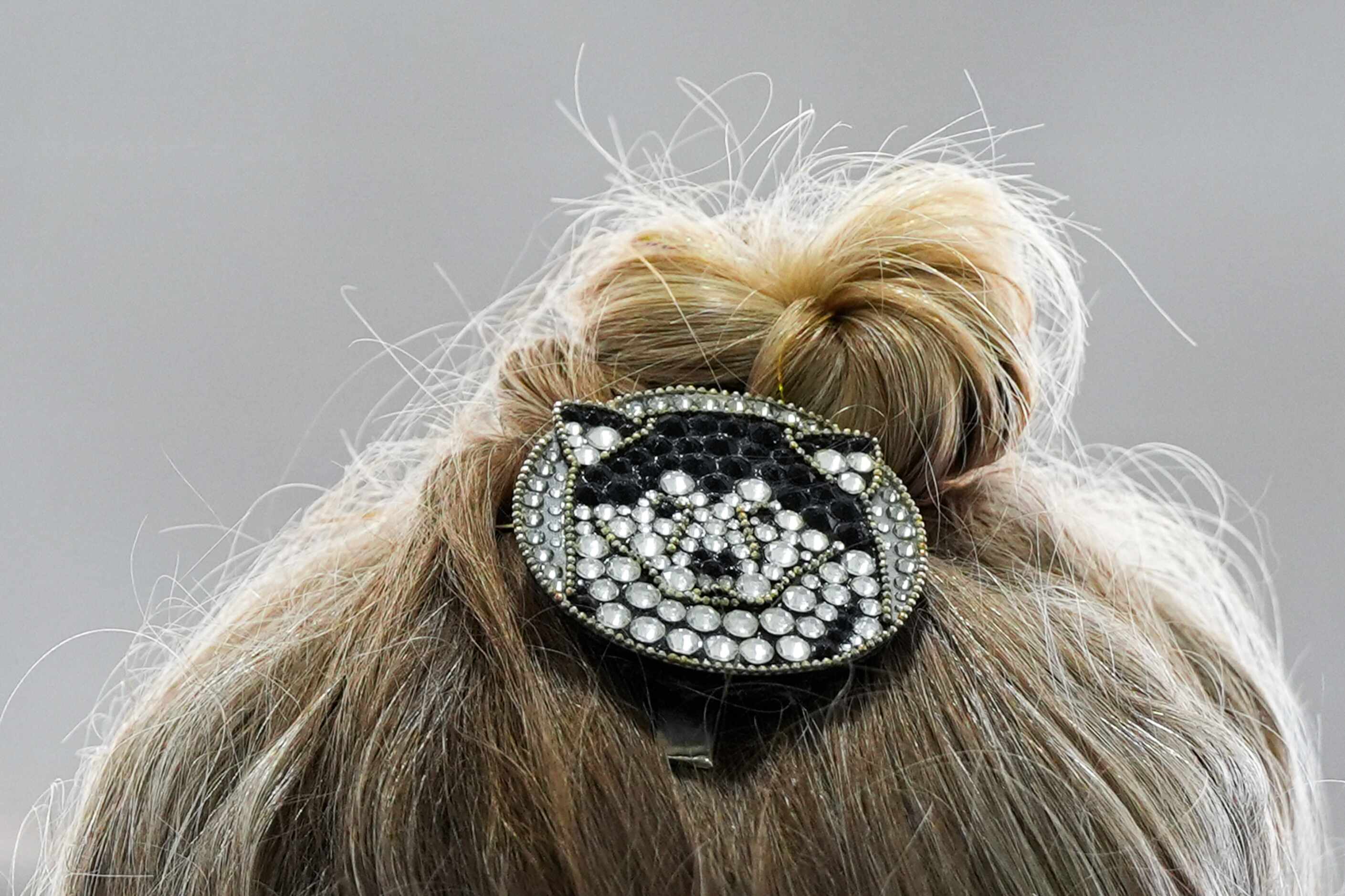 A handler wears a dog hair pin at the 148th Westminster Kennel Club Dog show, Tuesday, May...