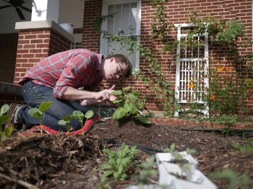 Ah, what is it about digging in the dirt? 