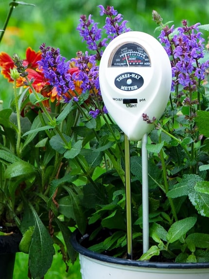 Moisture meter tool in a potted plant