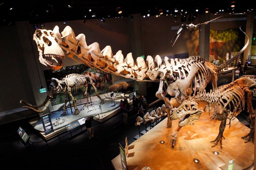 The dinosaur exhibit in the T. Boone Pickens Life Then and Now Hall at the Perot Museum of...
