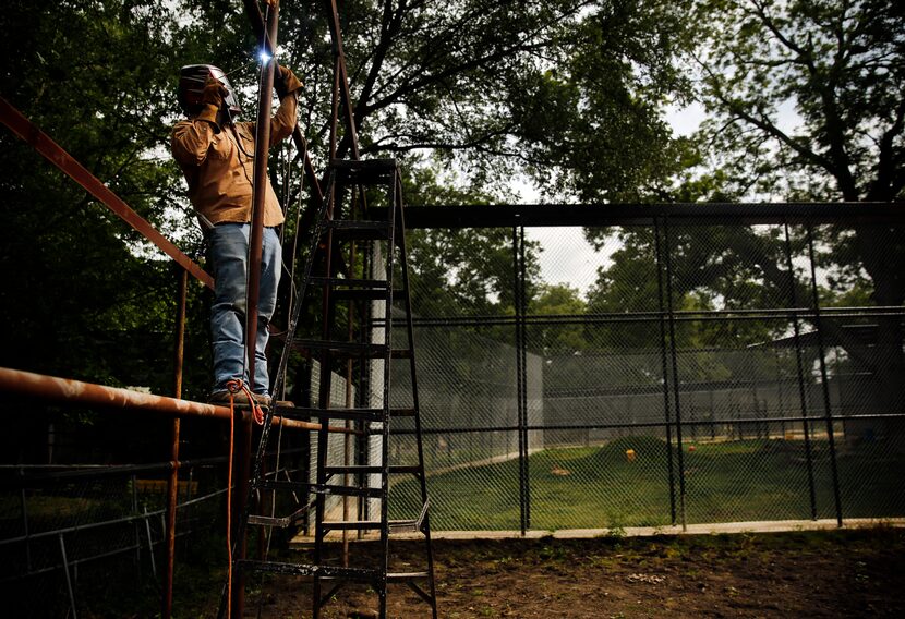 Welder Mike White constructs a new enclosure at In-Sync Exotics in Wylie, Texas on May 15,...