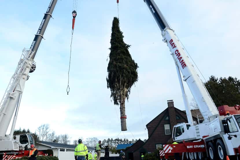 El árbol de Navidad del Rockefeller Center es levantado por dos grúas en un camión de...