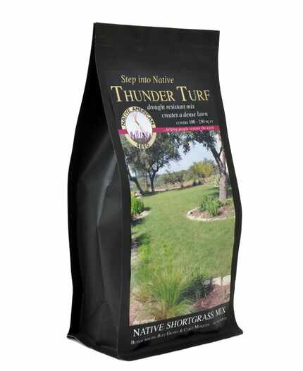 Native American Seed sells a mix of native grasses called Thunder Turf. 