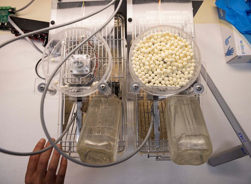 The automated feeder used to feed mice as part of their experiment at UT Southwestern...