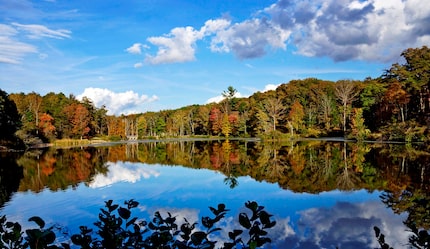  Benson enjoys hiking and photography. He took this photo of Pandapas Pond in Blacksburg,...