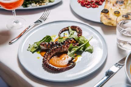 The octopus at the original Sassetta will return to the menu, this time as a main course.