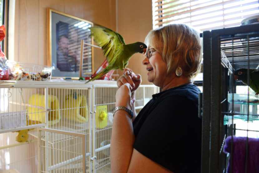 Janet Nevil greets one of her parrots at her home on North Collins Road in Sunnyvale. The...