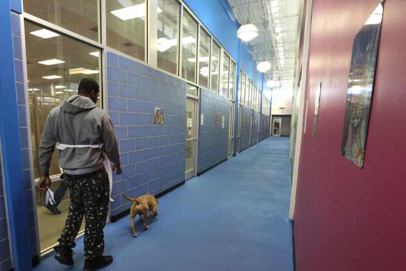 A look at the hallway that services many of the kennels at Dallas Animal Services, 1818 N....