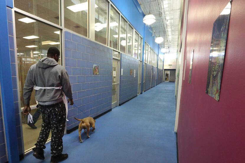 A look at the hallway that services many of the kennels at Dallas Animal Services, 1818 N....