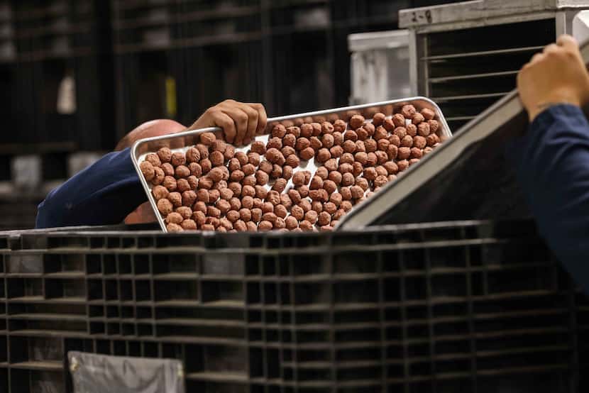 Workers load Muenster Milling's freeze-dried dog food meatballs into a container. 
