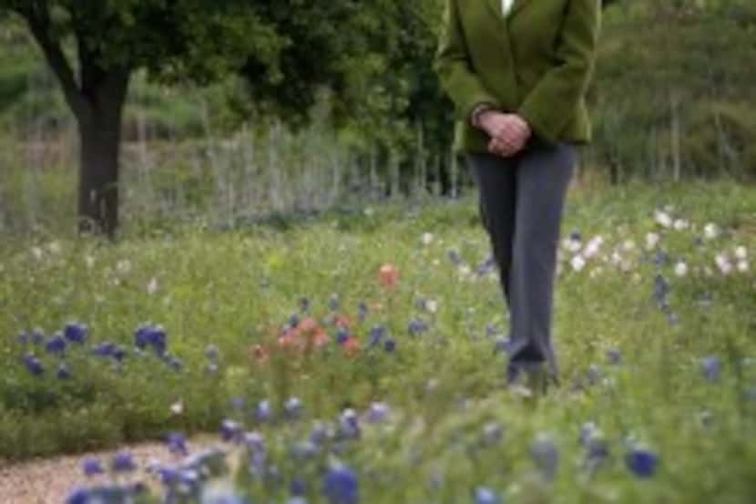  Former first lady Laura Bush walks by bluebonnets during a tour of the Native Texas Park at...