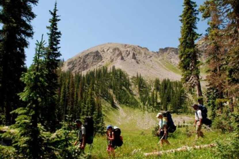 Backpackers traverse the Anderson Trail with Pagosa Peak in the background.