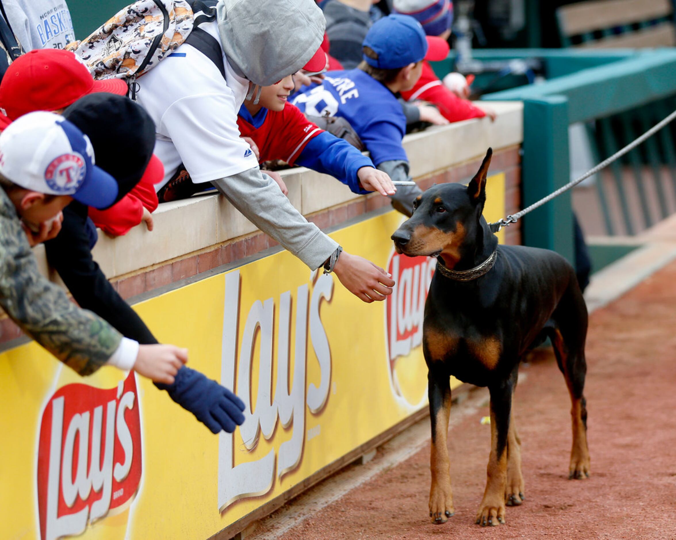 Dog About Town: Take your pooch to Globe Life Park for a farewell bark