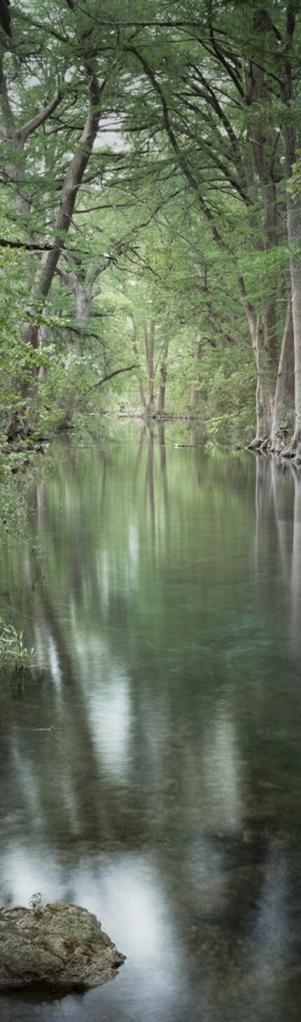 David H. Gibson, Three Trees and Stone, May 25, 2014, 7:30 AM, Cypress Creek, Wimberley,...