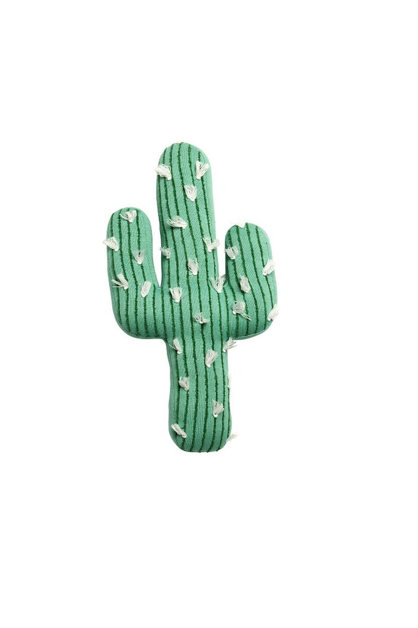 
Cactus Throw Pillow, $16.99
