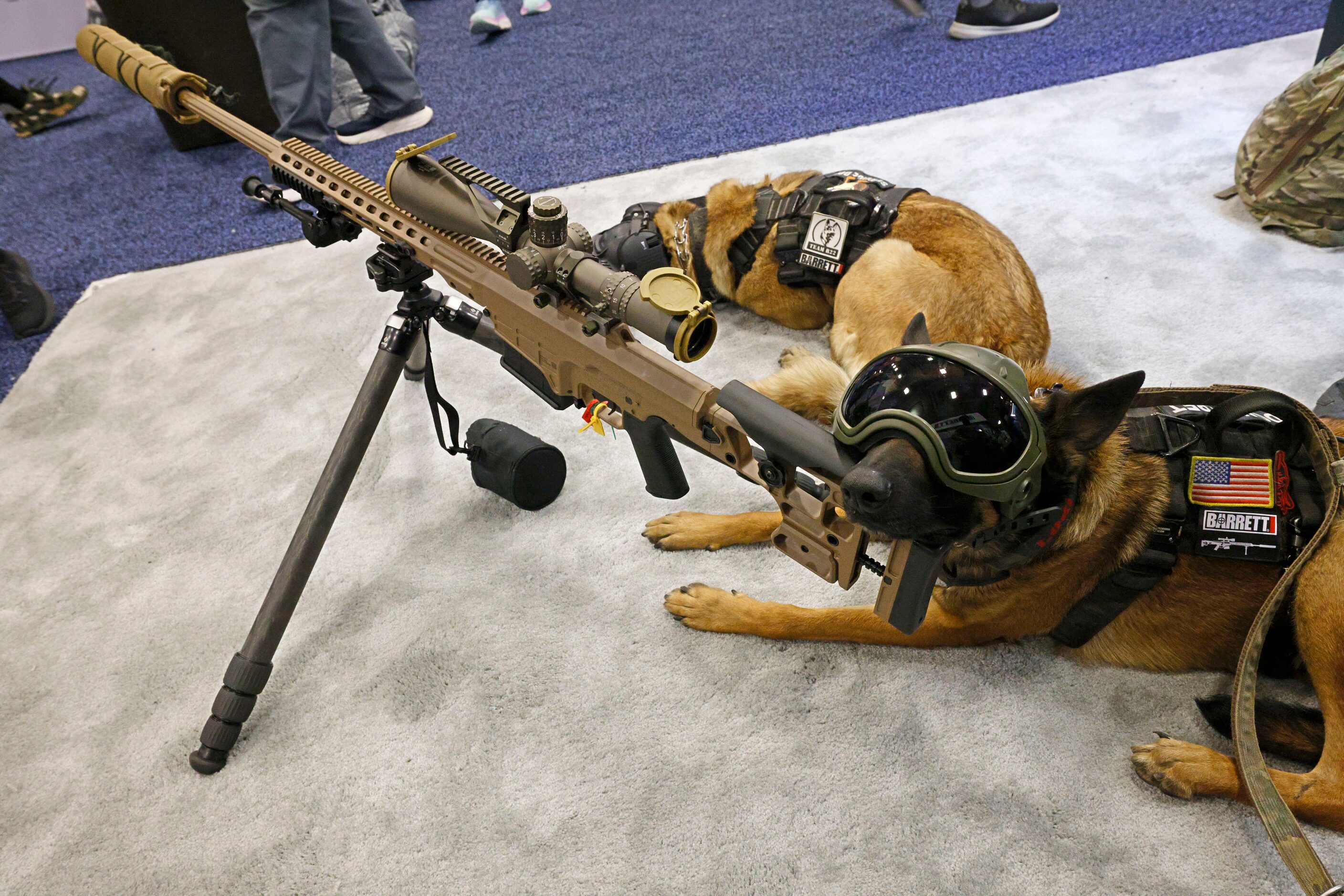 Service dogs Loki, foreground, and Moose, lie down near a Barrett  MK 22 at the booth of...