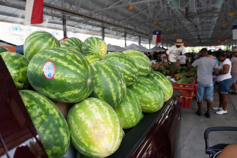 Watermelons fill a truck bed waiting for people guess the number during the Watermelon...