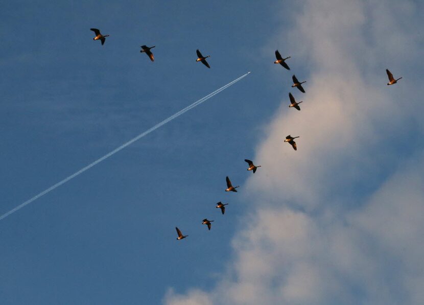 Conspiracy theorists say that chemtrails linger in the air because they contain aluminum,...