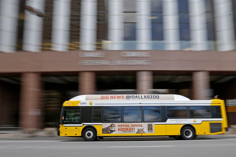 A DART bus makes its way passing Earle Cabell Federal Building on Commerce Street in Dallas,...