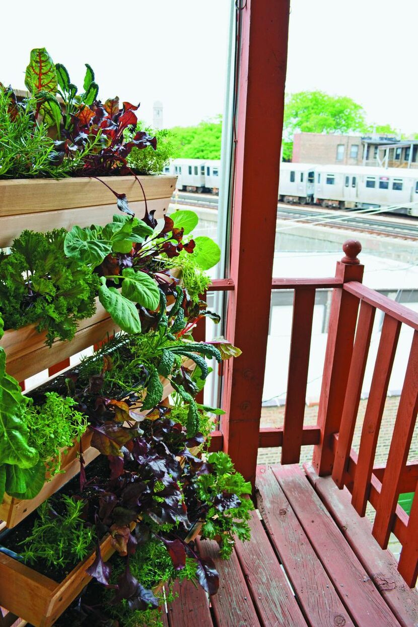 
Vertical gardens are especially good for apartment balconies, says Shawna Coronado, author...