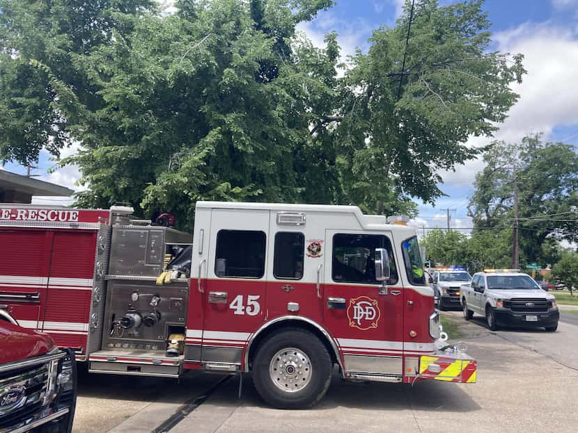 Low hanging tree branches loom over a Dallas Fire Station truck and on power lines in West...