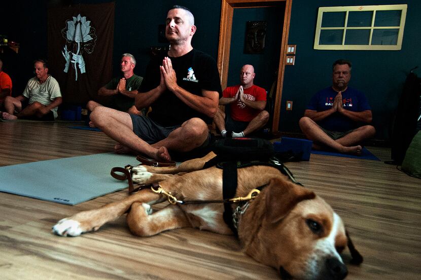 In a Tuesday, Sept. 13, 2016 photo, Todd Oslen and his service dog Hager take a yoga class...