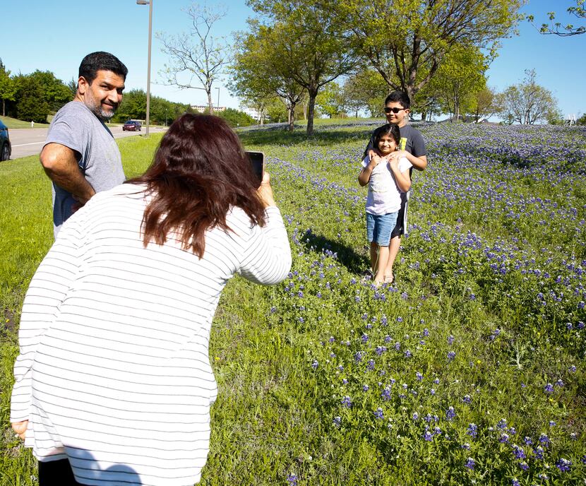 Seems and Salmon Kerai take photos of their children Sinan and Safiya in a bluebonnet field...
